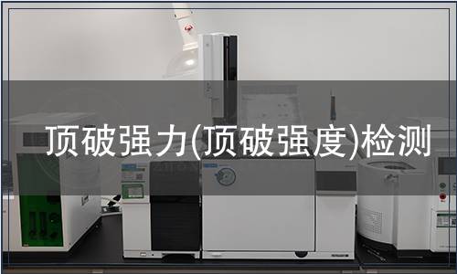 頂破強(qiáng)力(頂破強(qiáng)度)檢測