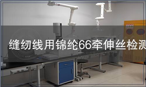 縫紉線用錦綸66牽伸絲檢測(cè)