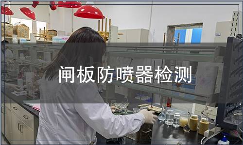 閘板防噴器檢測(cè)