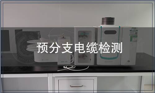 預(yù)分支電纜檢測(cè)