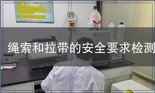 繩索和拉帶的安全要求檢測(cè)