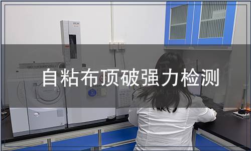 自粘布頂破強(qiáng)力檢測(cè)