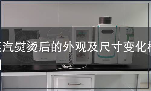 蒸汽熨燙后的外觀及尺寸變化檢測(cè)